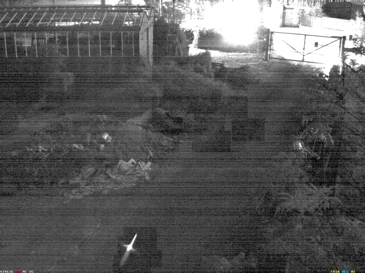 Camera localcam:Event Image #-2