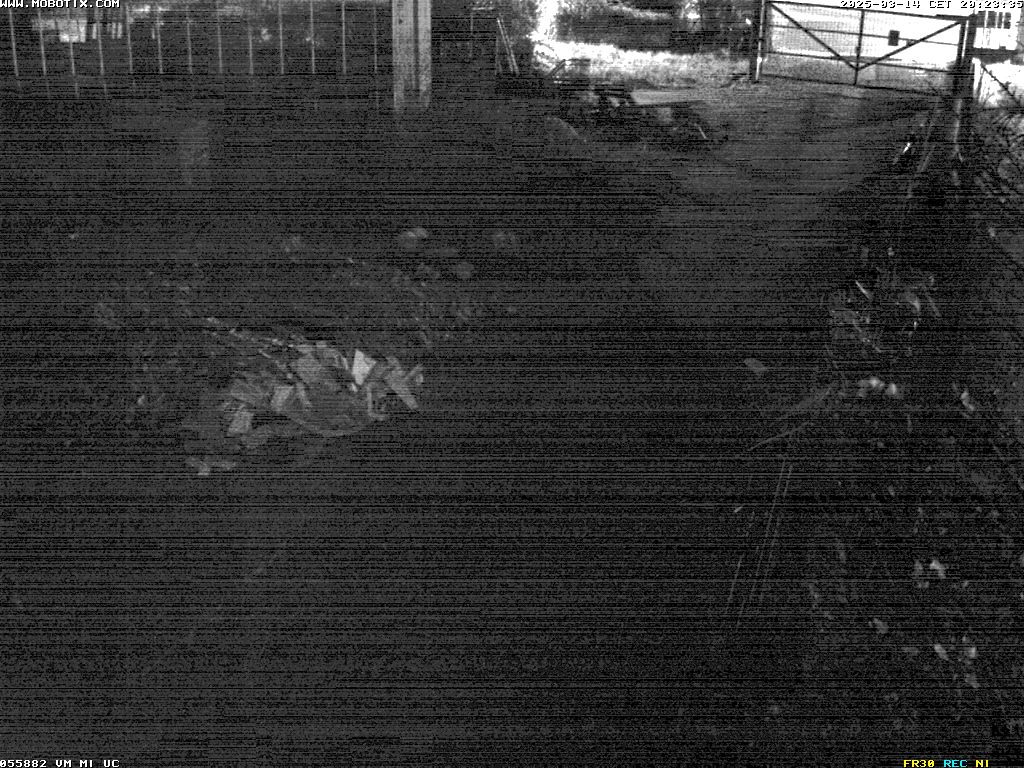 Camera Live Image