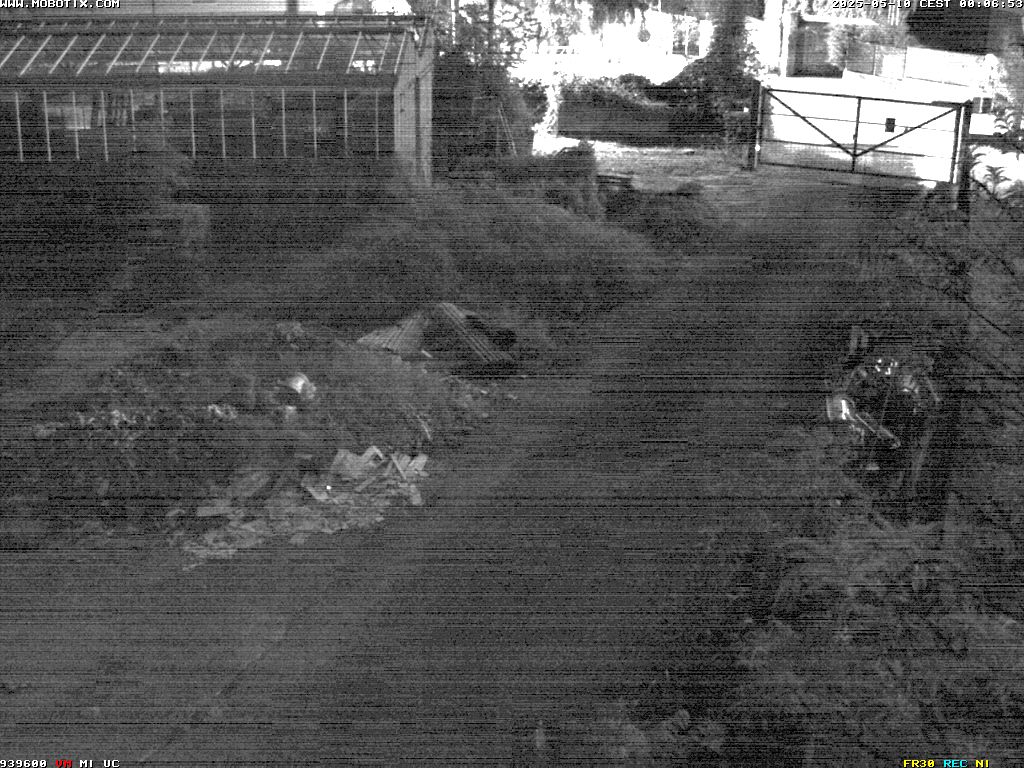 Camera Live Image